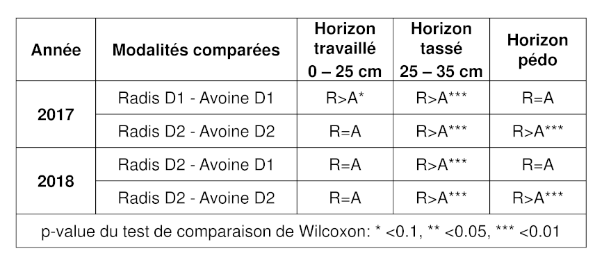 Comparaison de la densité racinaire par horizon du radis et de l'avoine