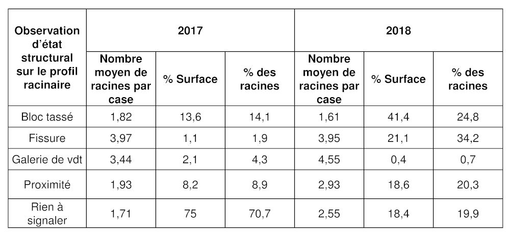 Distribution des racines du profil dans les différentes zones du profil - Observation mi septembre